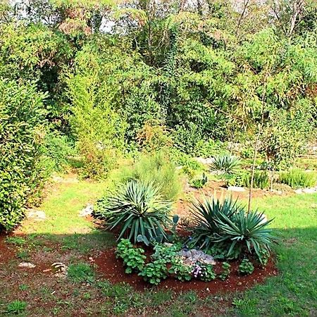 Appartamento Jelena Porec Esterno foto